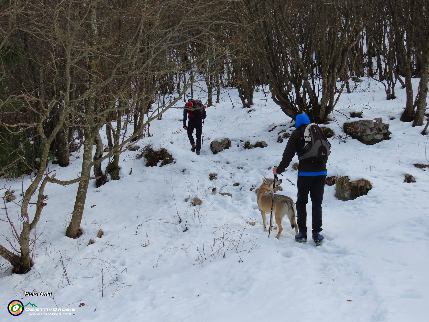 35 Dalla Bocca del Grassello prendiamo il sent. 571 per i Canti e i Tre Faggi .JPG